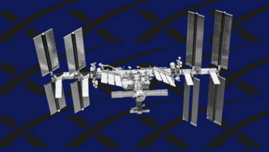 Photo of SpaceX не разрешили размещать спутники Starlink на низкой орбите — это создаст риски для МКС
