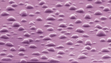 Photo of Разработано бактерицидное покрытие из меди для сенсорных экранов, и оно прозрачное
