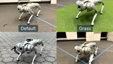 Photo of ИИ научил робопса балансировать на шаре — он тренирует роботов эффективнее, чем люди